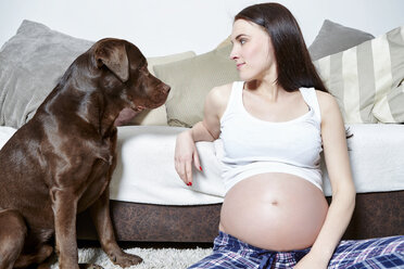 Schwangere Frau sitzt auf dem Boden ihres Wohnzimmers neben ihrem Labrador Retriever - SEGF000366