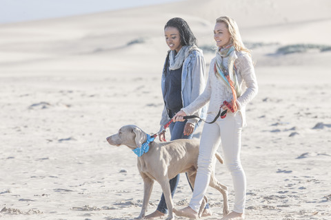 Südafrika, Kapstadt, zwei Freunde gehen am Strand mit Hund spazieren, lizenzfreies Stockfoto