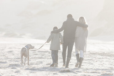 South Africa, Cape Town, back view of family walking on the beach with dog - ZEF005243