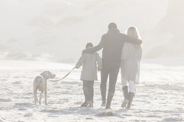 Südafrika, Kapstadt, Rückenansicht einer Familie, die mit ihrem Hund am Strand spazieren geht - ZEF005243