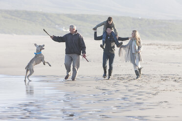 South Africa, Cape Town, family walking on the beach with dog - ZEF005247