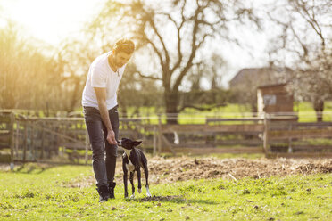 Man training his dog on a meadow - TAMF000165