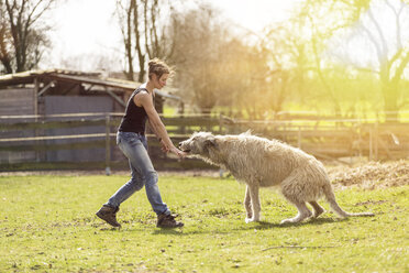 Frau trainiert Irish Wolfhound auf einer Wiese - TAMF000168