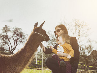 Mutter und ihre kleine Tochter mit einem Lama auf einer Koppel - TAMF000185