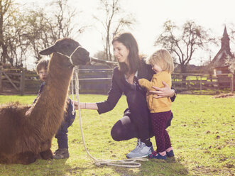 Mutter und ihre kleinen Kinder mit einem Lama auf einer Koppel - TAMF000186