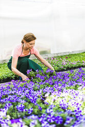 Frau in Gärtnerei bei der Arbeit mit Blumen - UUF004343