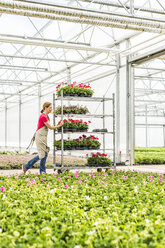 Woman pushing cart with flowers in a nursery - UUF004361