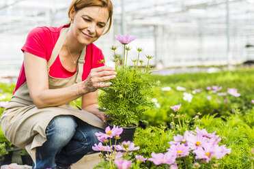 Frau in Gärtnerei, die eine Blume untersucht - UUF004366