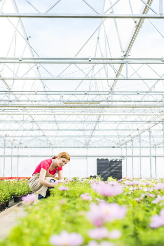 Frau in Gärtnerei, die Blumen untersucht, lizenzfreies Stockfoto