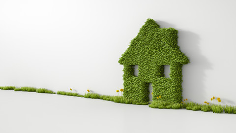3D Rendering, House from grass on wall, copy space stock photo