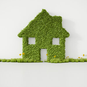 3D Rendering, Haus aus Gras an der Wand, Raum kopieren - UWF000490