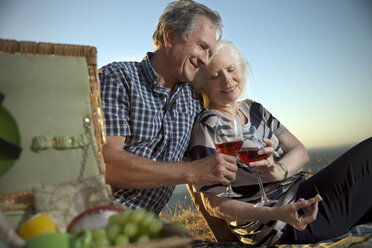 Südafrika, glückliches älteres Paar beim Picknick, das mit Gläsern Rotwein anstößt - TOYF001002
