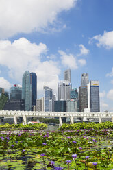 Republic of Singapor, Singapore, skyline of Marina Bay District with lily pond in the foreground - GWF004054