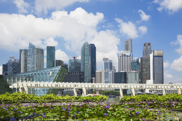 Republic of Singapor, Singapore, skyline of Marina Bay District with lily pond in the foreground - GWF004055