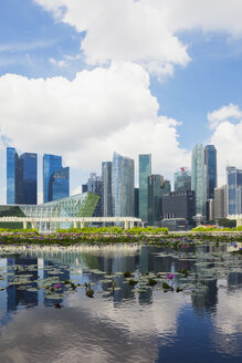 Republic of Singapor, Singapore, skyline of Marina Bay District with lily pond in the foreground - GWF004056