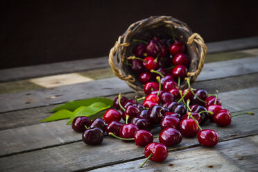 Organic cherries, basket - LVF003441