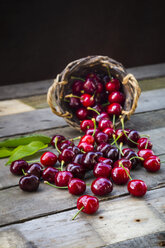 Organic cherries, basket - LVF003442