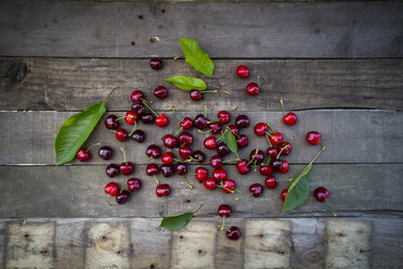 Organic cherries on wood - LVF003444