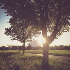 Germany, Baden-Wuerttemberg, sunset - LVF003455