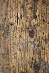 Part of old plank - WIF002130
