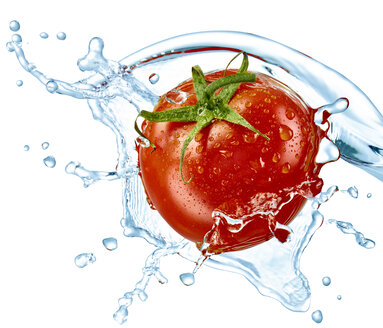 Tomate und Wasserspritzer - RAMF000061