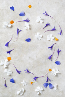 Blumenrahmen, Blütenblätter von Hortensie, Tausendgüldenkraut und Phlox - MYF001009