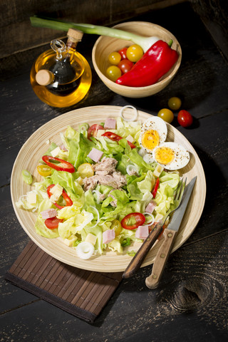 Teller mit Kopfsalat, gekochtem Ei, Frühlingszwiebeln, roter Paprika und Thunfisch, lizenzfreies Stockfoto