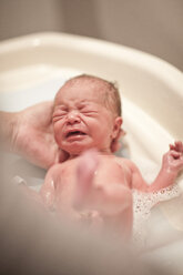 Das neugeborene Baby wird gebadet - ZEF006306