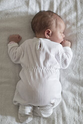 Newborn baby lying down - ZEF006309