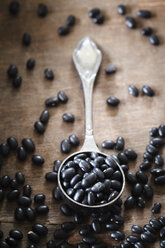 Silver spoon of black beans - EVGF001819