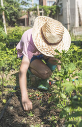 Boy with straw hat planting bulbs in a garden - DEGF000430