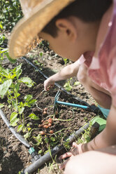 Boy with straw hat planting bulbs in a garden - DEGF000431