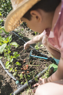 Junge mit Strohhut pflanzt Blumenzwiebeln in einem Garten - DEGF000431