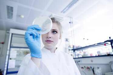 Junge Naturwissenschaftlerin mit Petrischale in einem Laboratorium - SGF001655