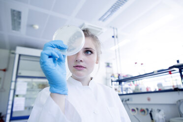 Young natural scientist with petri dish in a labroratory - SGF001655