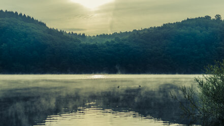 Deutschland, Hessen, Waldeck, Edersee, Morgennebel - MH000365