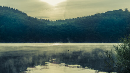 Germany, Hesse, Waldeck, Lake Edersee, morning mist - MH000365