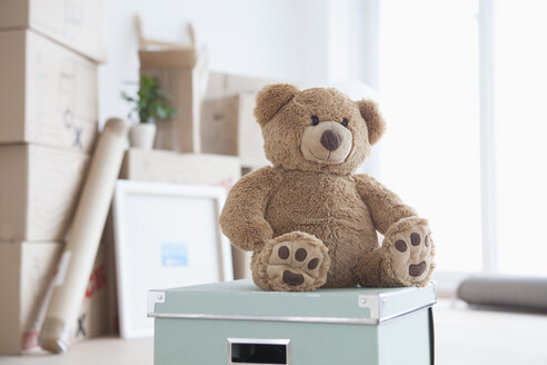 Teddy bear sitting on box in front of piled cardboard boxes - RBF002818