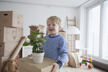 Kleiner blonder Junge hilft mit Kartons - RBF002820