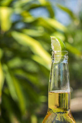 Bierflaschenhals mit Kalk, lizenzfreies Stockfoto