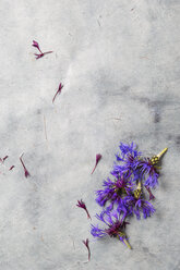 Blüten des Tausendgüldenkrauts - MYF001013