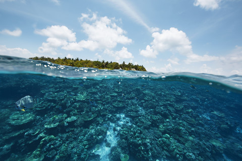 Maldives, view from the Indian Ocean to an island stock photo