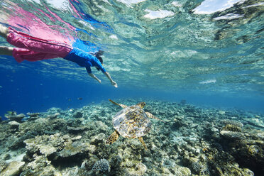 Maldives, turtle and woman snorkeling in the Indian Ocean - STKF001307