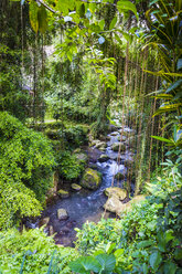 Indonesien, Bali, Fluss im Dschungel - KNTF000039