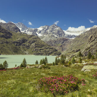 Italien, Lombardei, See bei Chiesa in Valmalenco, Sasso Rosso mit Gletscher - DWIF000521