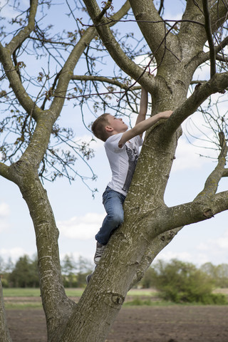 Germany, Brandenburg, boy climbing on a tree stock photo