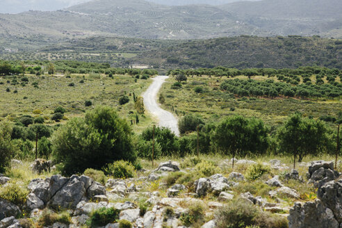 Greece, Crete, Dirt track in landscape - STDF000175