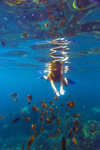 Indonesia, Bali, young woman snorkeling with fish stock photo