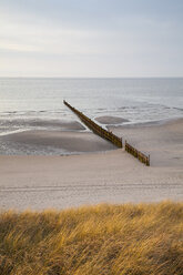 Deutschland, Niedersachsen, Ostfriesland, Wangerooge, Nordseeküste, Strand und Wellenbrecher - WIF002208