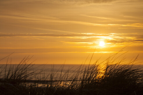 Deutschland, Niedersachsen, Ostfriesland, Wangerooge, Nordseeküste bei Sonnenuntergang - WIF002209